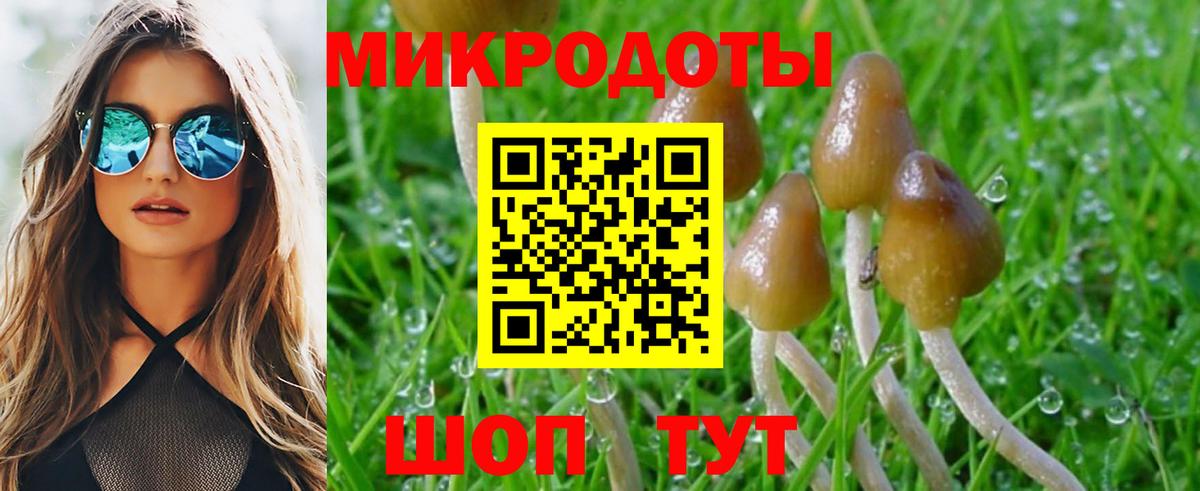 Ревда  Галлюциногенные грибы Cubensis  Псилоцибиновые грибы мухоморы  Вход с VPN 